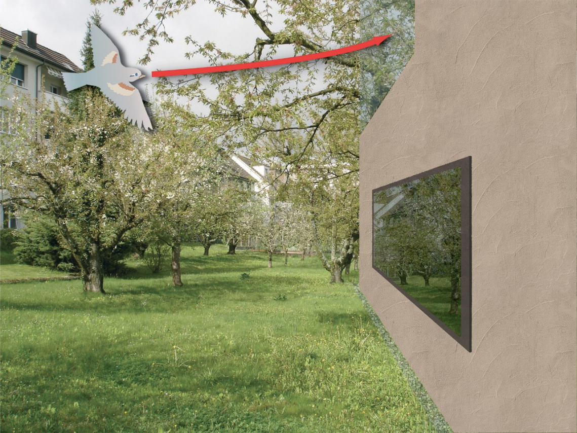 การส่องผ่าน