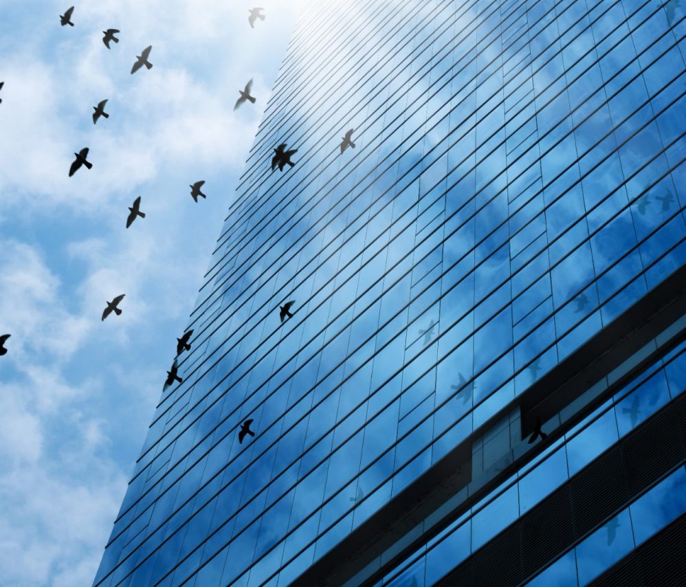 Testată pentru a fi nepericuloasă pentru păsări