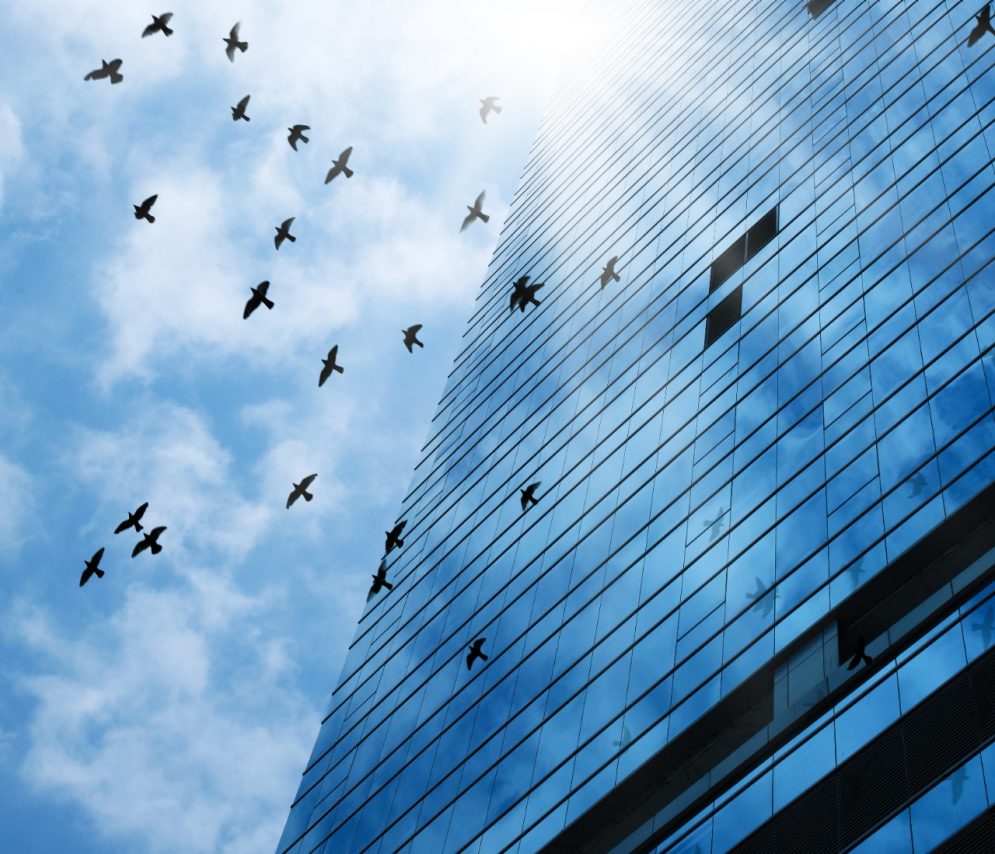 การออกแบบ